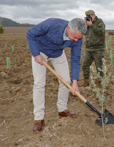 bosques-defensa-iberdrola-reforestacion-fundacion-iberdrola-espana